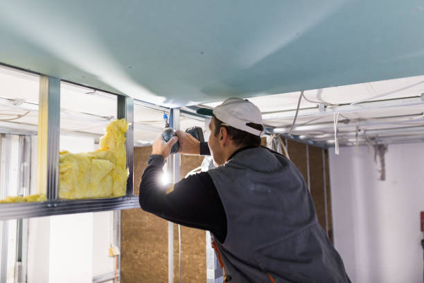 Best Garage Insulation Installation  in Pagosa Springs, CO