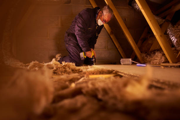 Best Soundproof Insulation Installation  in Pagosa Springs, CO