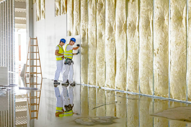 Best Spray Foam Insulation  in Pagosa Springs, CO